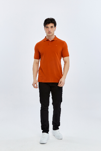 Resim Süvari Polo Yaka Slim Fit T-shirt TS1014000474