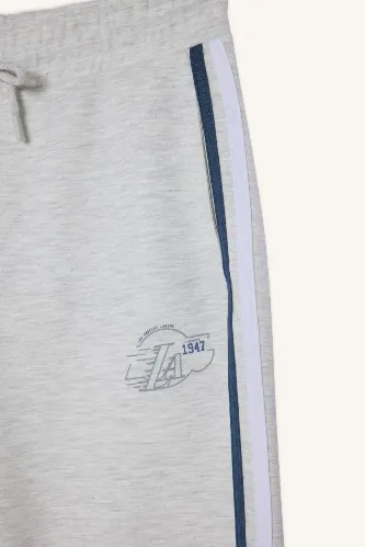 Resim Defacto Erkek Eşofman Alt F6978AX/GR421