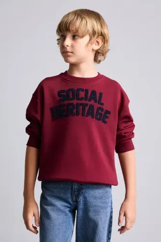 Resim Defacto  Erkek Çocuk Sweat H9695A8/BR248