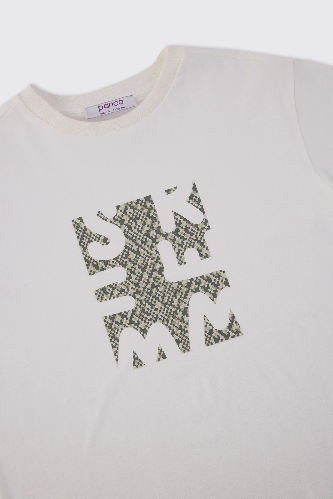 Resim Panço Erkek Çocuk T-shirt