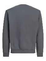 Resim Jack & Jones Jorlogo Sweat Crew Neck Tr Ss25 Erkek Sweat 12290659