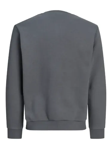 Resim Jack & Jones Jorlogo Sweat Crew Neck Tr Ss25 Erkek Sweat 12290659