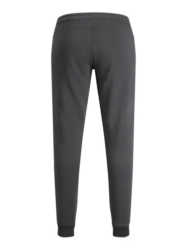 Resim Jack & Jones Jpstgordon Jjnewsoft Noos Erkek Eşofman Alt 12178421