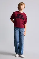Resim Defacto  Erkek Çocuk Sweat H9695A8/BR248