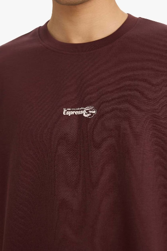 Resim Defacto Erkek T-shirt F9686AX/BN496