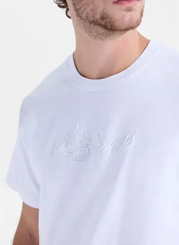 Resim Levis Erkek T-shirt