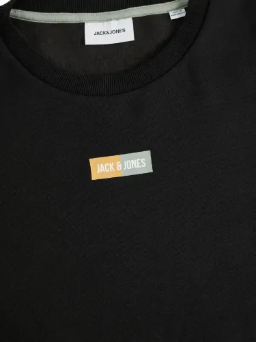 Resim Jack & Jones Jjpan Sweat Crew Neck Smu Erkek Sweat 12310759