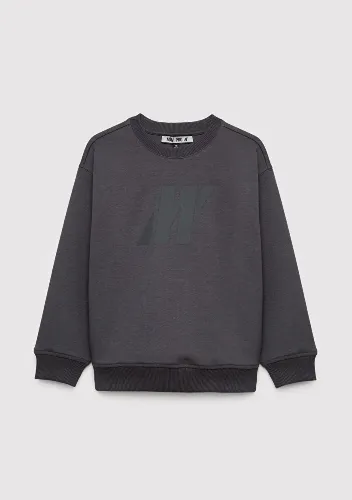 Resim Mavi Erkek Çocuk Sweat M6S10201-70763