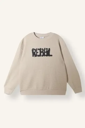 Resim Defacto  Erkek Çocuk Sweat I3168A8/BG191