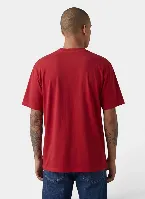 Resim Levis Erkek T-shirt