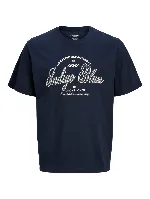 Resim Jack & Jones Jjedenver Graphıc Tee Ss O-Neck Sn Erkek T-shırt 12291213