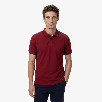 Resim NAUTİCA Erkek T-shirt