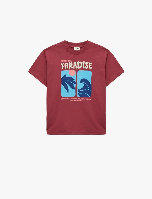 Resim Koton Erkek Çocuk T-shirt 6SKB10062TK