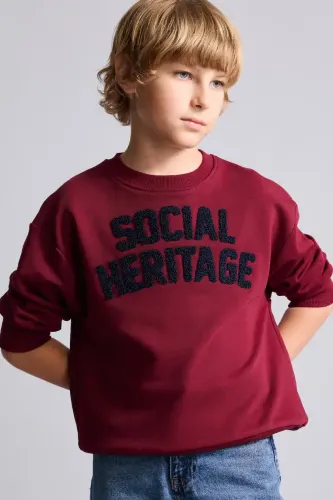 Resim Defacto  Erkek Çocuk Sweat H9695A8/BR248