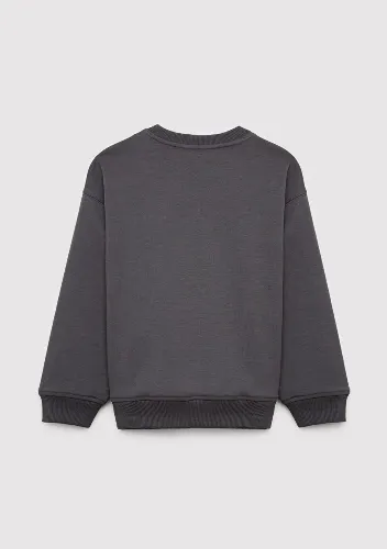 Resim Mavi Erkek Çocuk Sweat M6S10201-70763