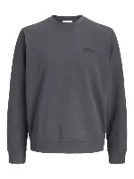Resim Jack & Jones Jjearchıve Graphıc Sweat Crew Neck Noos Erkek Sweat 12287995