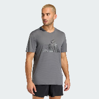 Resim Adidas Run Ess Bl T M Erkek T-shirt KC4275