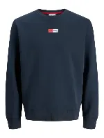 Resim Jack & Jones Jjpan Sweat Crew Neck Smu Erkek Sweat 12310759
