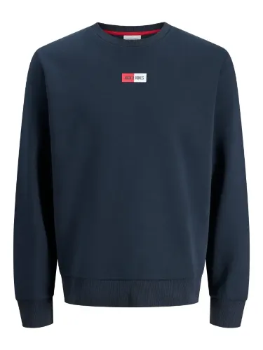 Resim Jack & Jones Jjpan Sweat Crew Neck Smu Erkek Sweat 12310759