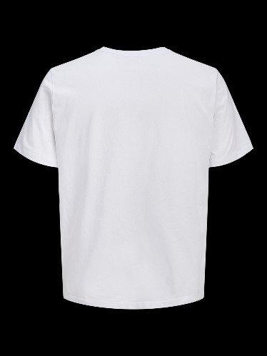 Resim Jack & Jones Jjcole Prınt Tee Ss Crew Neck Ln Erkek T-Shirt 12288492