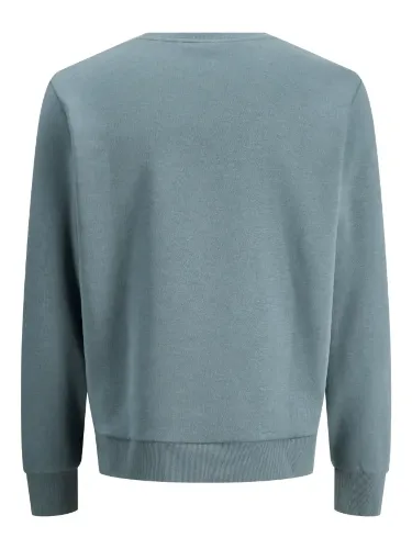 Resim Jack & Jones Jjpan Sweat Crew Neck Smu Erkek Sweat 12310759