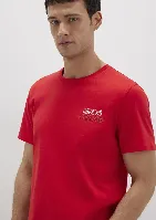 Resim Mavi Baskılı Erkek T-shirt M066841-33099