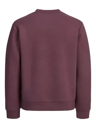 Resim Jack & Jones Jcofusıon Scuba Sweat Crew Neck Sn Erkek Sweat 12289830