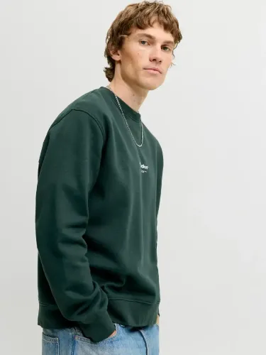 Resim Jack & Jones Jjesoho Sweat Crew Neck Noos Erkek Sweat 12278791
