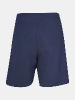 Resim Hummel Hmlvıvo Shorts  Erkek Şort 932484-7459