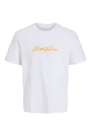 Resim Jack & Jones Jorcatskılls Tee Ss Cn Fst Erkek T-Shirt 12297893