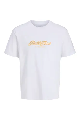 Resim Jack & Jones Jorcatskılls Tee Ss Cn Fst Erkek T-Shirt 12297893