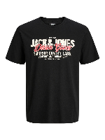 Resim Jack & Jones Jjelogo Tee Ss O-Neck 2 Col  Erkek T-Shirt 12279535