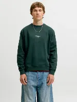 Resim Jack & Jones Jjesoho Sweat Crew Neck Noos Erkek Sweat 12278791