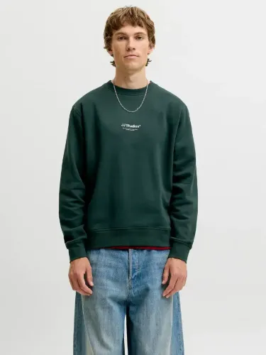 Resim Jack & Jones Jjesoho Sweat Crew Neck Noos Erkek Sweat 12278791
