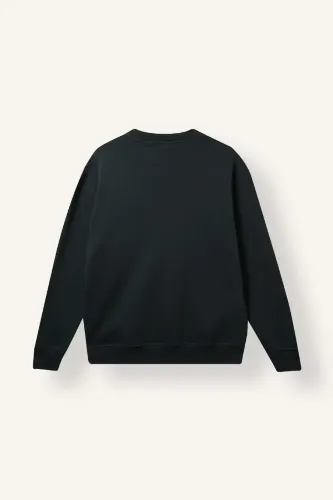 Resim Defacto  Erkek Sweat X8282AZ/GN465