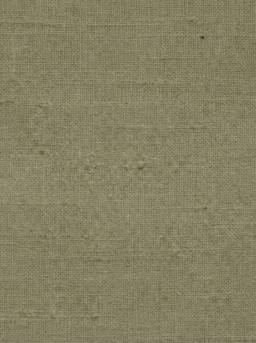 Resim Loft  Erkek Gömlek Lf2042321